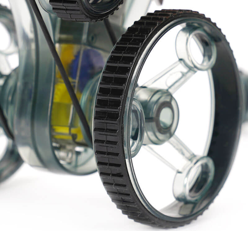 Climbing Triceratops & Hopping T-Rex